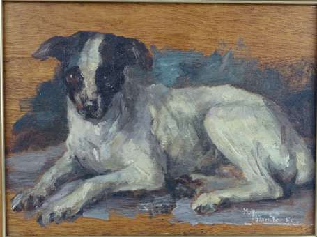 ECOLE XXe - Portrait de chien. Huile sur panneau, 