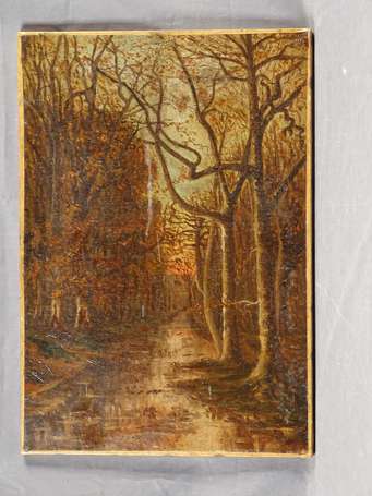 Ecole XIXé Chemin sous bois. Huile sur toile. 55 x