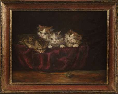 Peyramaure G Xxème Siècle Chatons Huile sur 
