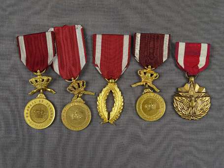 Belgique - 5 médailles civiles diverses 