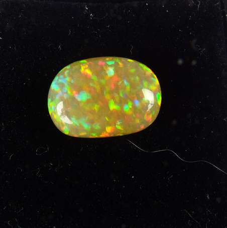 Opale jaune cabochon ovale 6,96 cts
