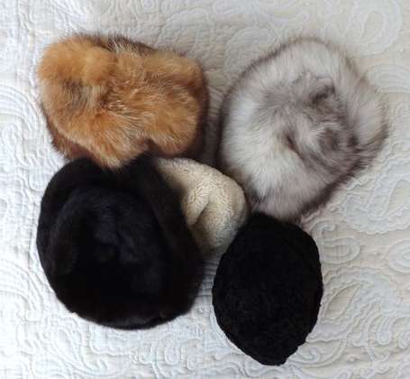 5 toques en fourrure : renard, chinchilla, vison, 