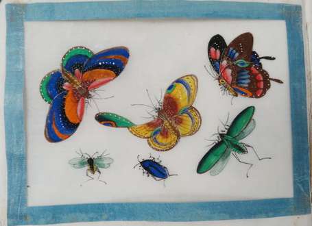 Album contenant  8 peintures de papillons sur 