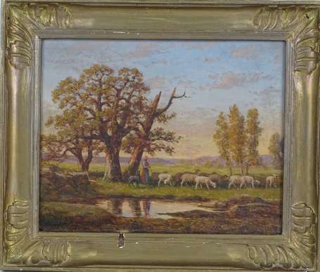 SCHULTZ Adrien (1851-1931) - Moutons au paturage. 