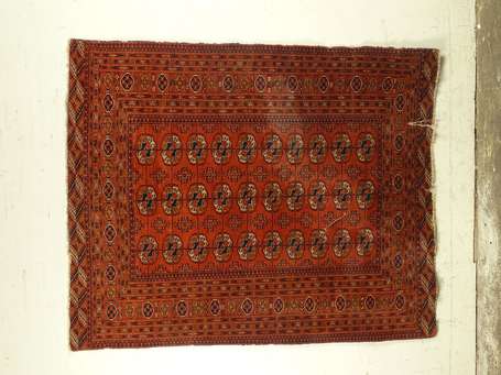 TAPIS Boukhara (chaîne, trame et velours en 