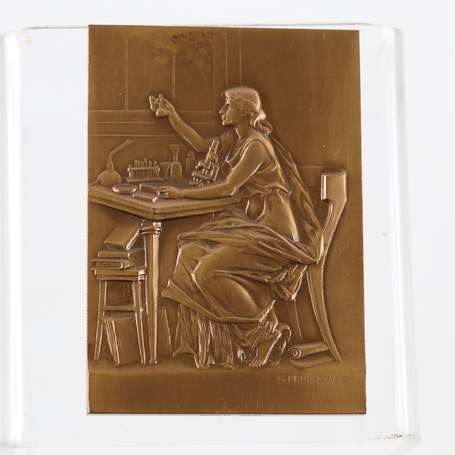 Une plaquette de bronze. 72mmx 50mm. Poids 140g. 